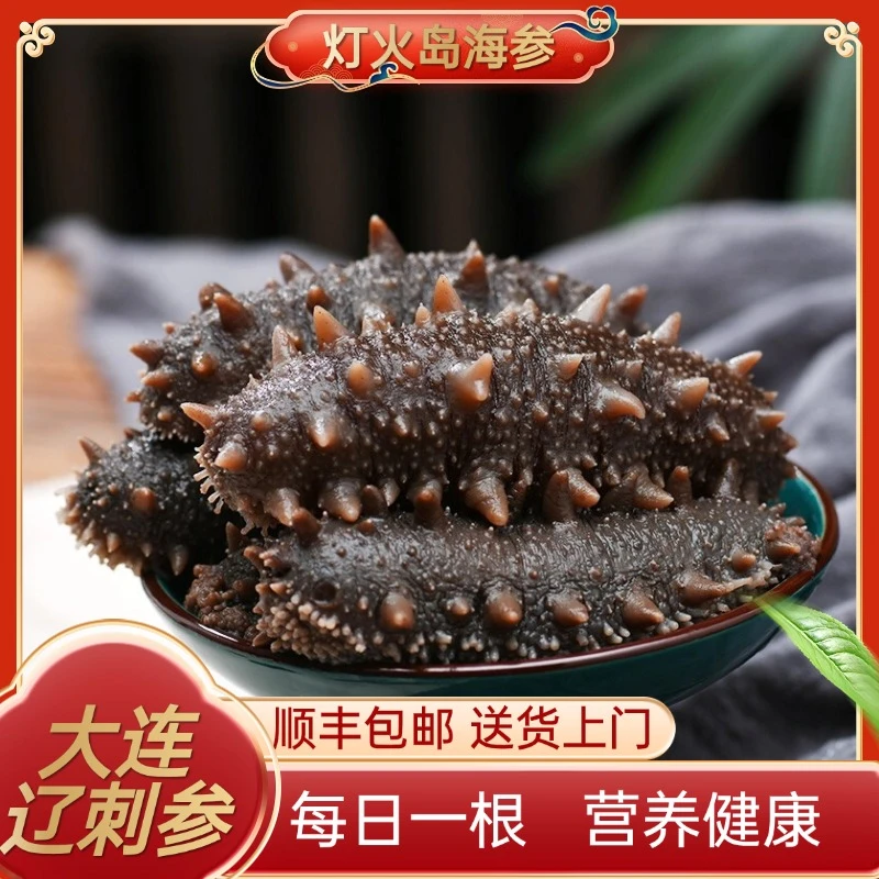 灯火岛即食海参 大连冷冻辽刺参鲜食海参 单个独立包装净含量500g 7A级1斤装【18-20只】