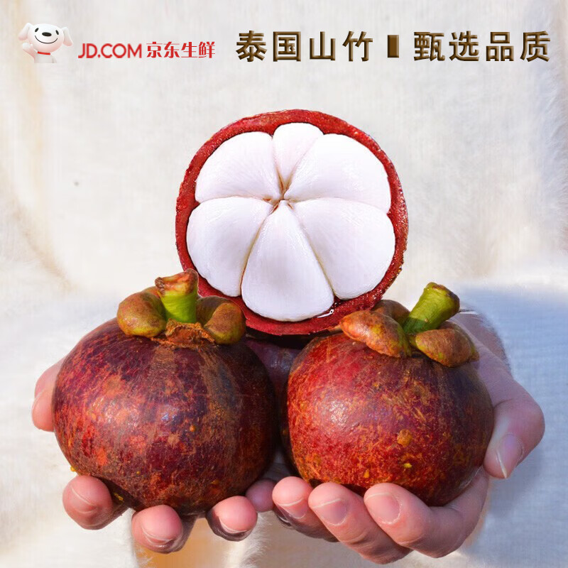 闽域寻鲜泰国进口山竹老树大果新鲜水果生鲜香甜美味山竹 3-4A级-净重1斤 尝鲜装