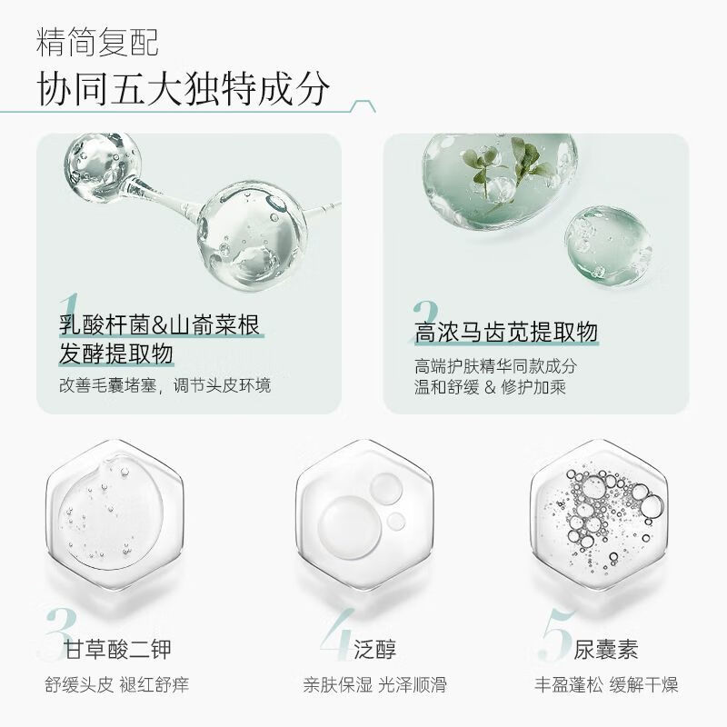 科丽尼舒缓头皮洗发水350ml洗头水控油去屑毛囊去油修护头皮男女 1瓶