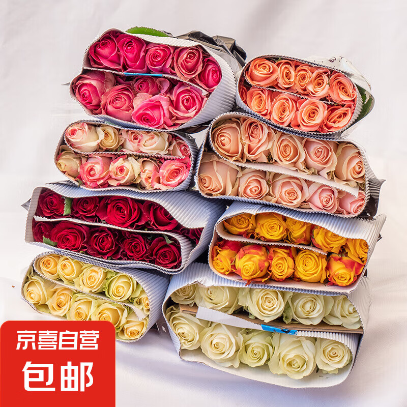 ��õ�廨�����������ؼ������ʻ��������ò�ƿˮ�����������ʻ� ���õ��18+2֦�����