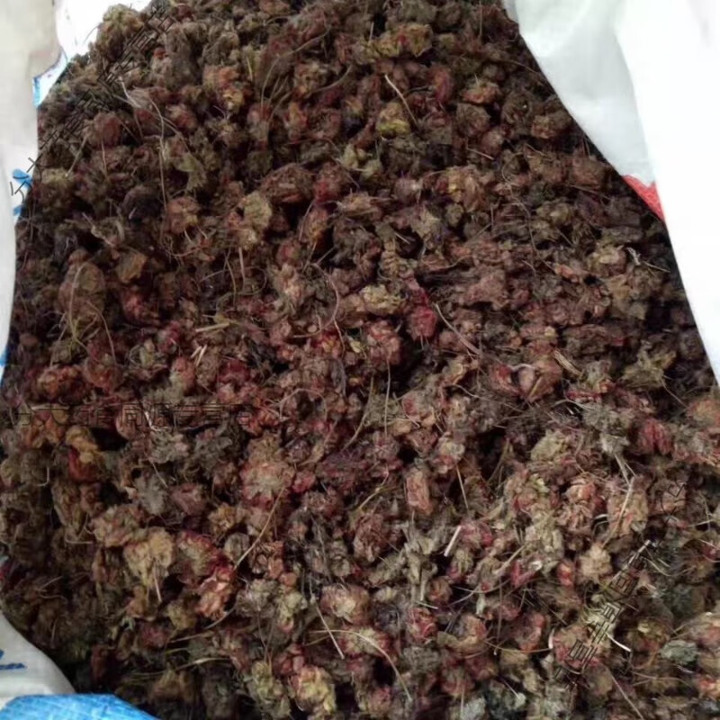 同仁堂中药材锦地罗 怎地罗 文钱红 金线吊芙蓉 落地金钱金钱花新货