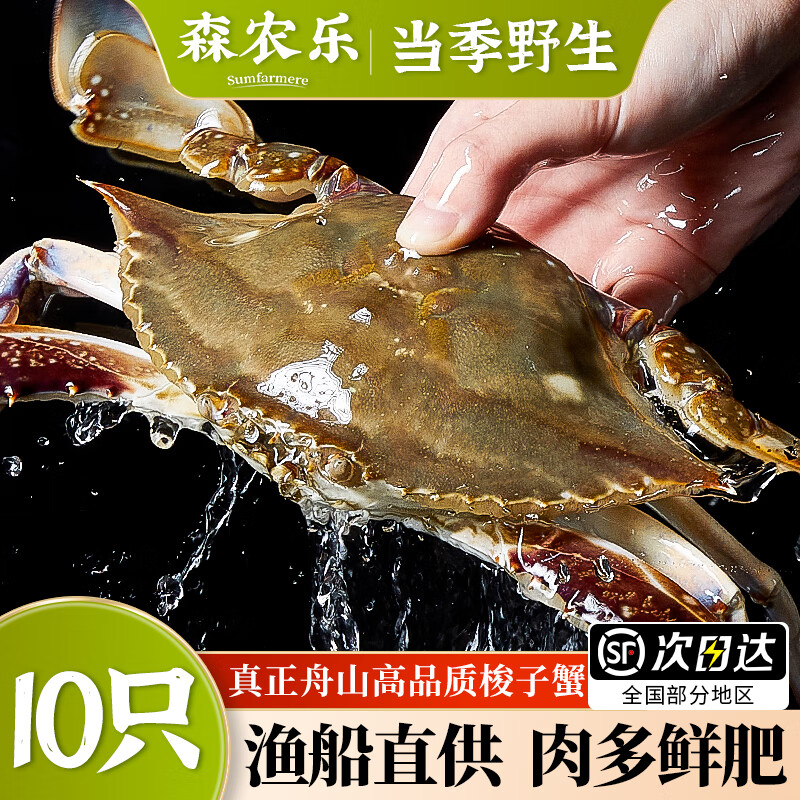 舟山梭子蟹鲜活特大野生大螃蟹新鲜冷冻海鲜水产海蟹飞蟹白蟹顺丰 净重3-4两/只【10只 精品野生】