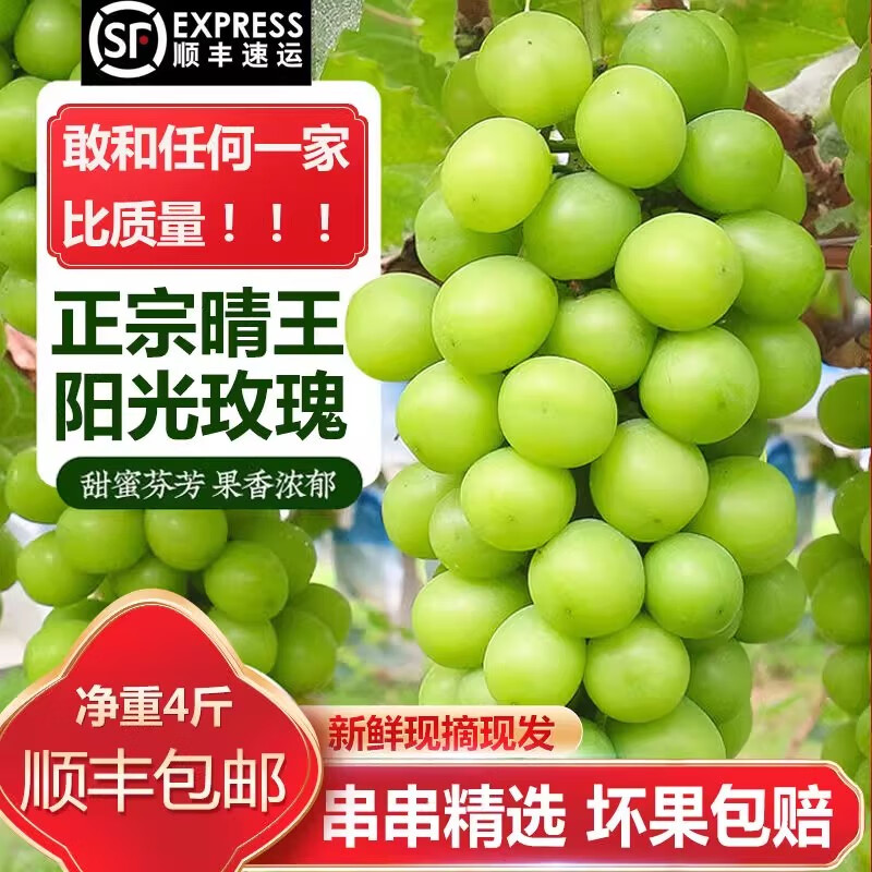 冈山阳光玫瑰日本品种晴王葡萄无籽当季水果整箱长野香印青提新鲜 2斤