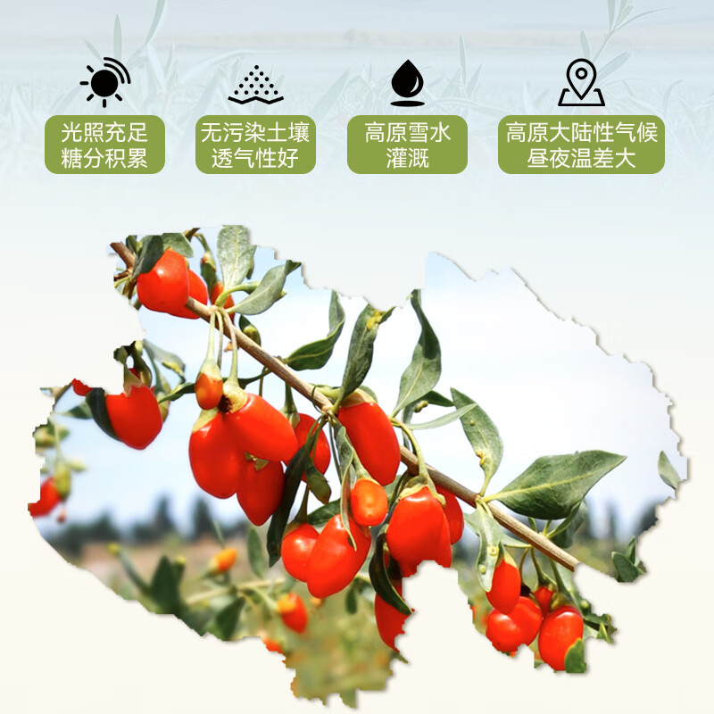 伊禧堂特优级红枸杞青海枸杞250g头茬无熏硫免洗送礼送长辈 青海枸杞 260g*2袋