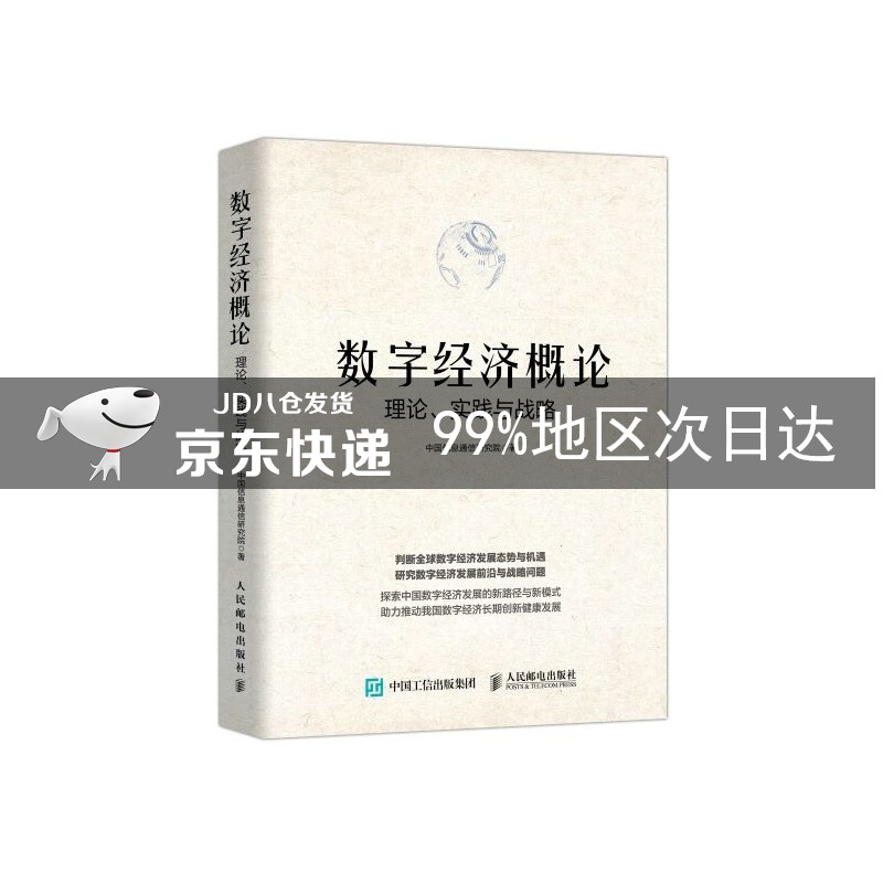 数字经济概论：理论、实践与战略