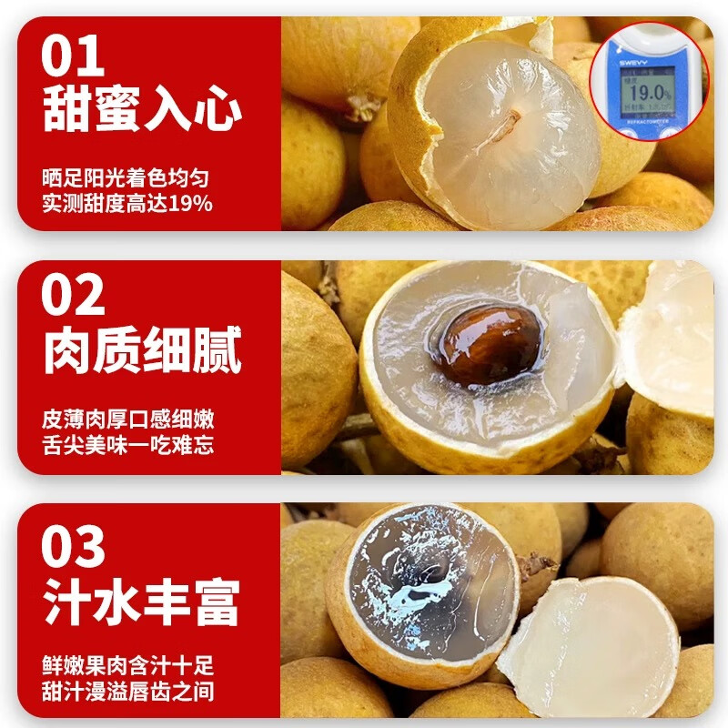 三萌果蔬广东石硖储良龙眼【顺丰冷链-多地隔日达】新鲜龙眼桂圆水果送礼 【顺丰速发】7A级丨特级果【自吃推荐】 3斤石硖龙眼【80%人选-超划算】净重2.6斤