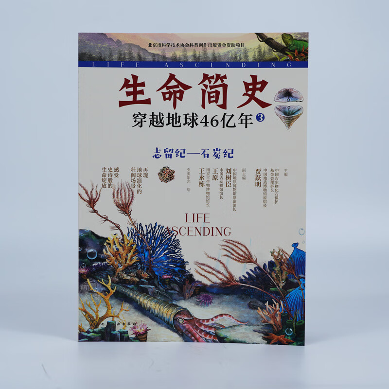 生命简史 穿越地球46亿年 4册 远古生物 入围2025中国好书 儿童中小学生青少年历史科普读物宇宙起源地球形成生命诞生史前世界探索