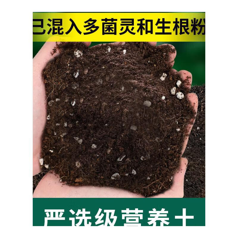 Ӫ��������ר��ͨ������ֲ�����ֻ��ֲ˼����л�������ֲ���෢�� ��ѡ��Ӫ����10�԰��ʦ������