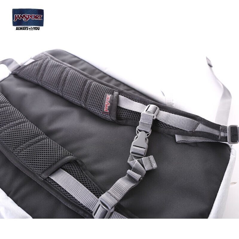 JANSPORT杰斯伯双肩包男女户外旅行运动登山背【下单前请认真看瑕疵说明】 382D3F6 浅灰（微瑕）