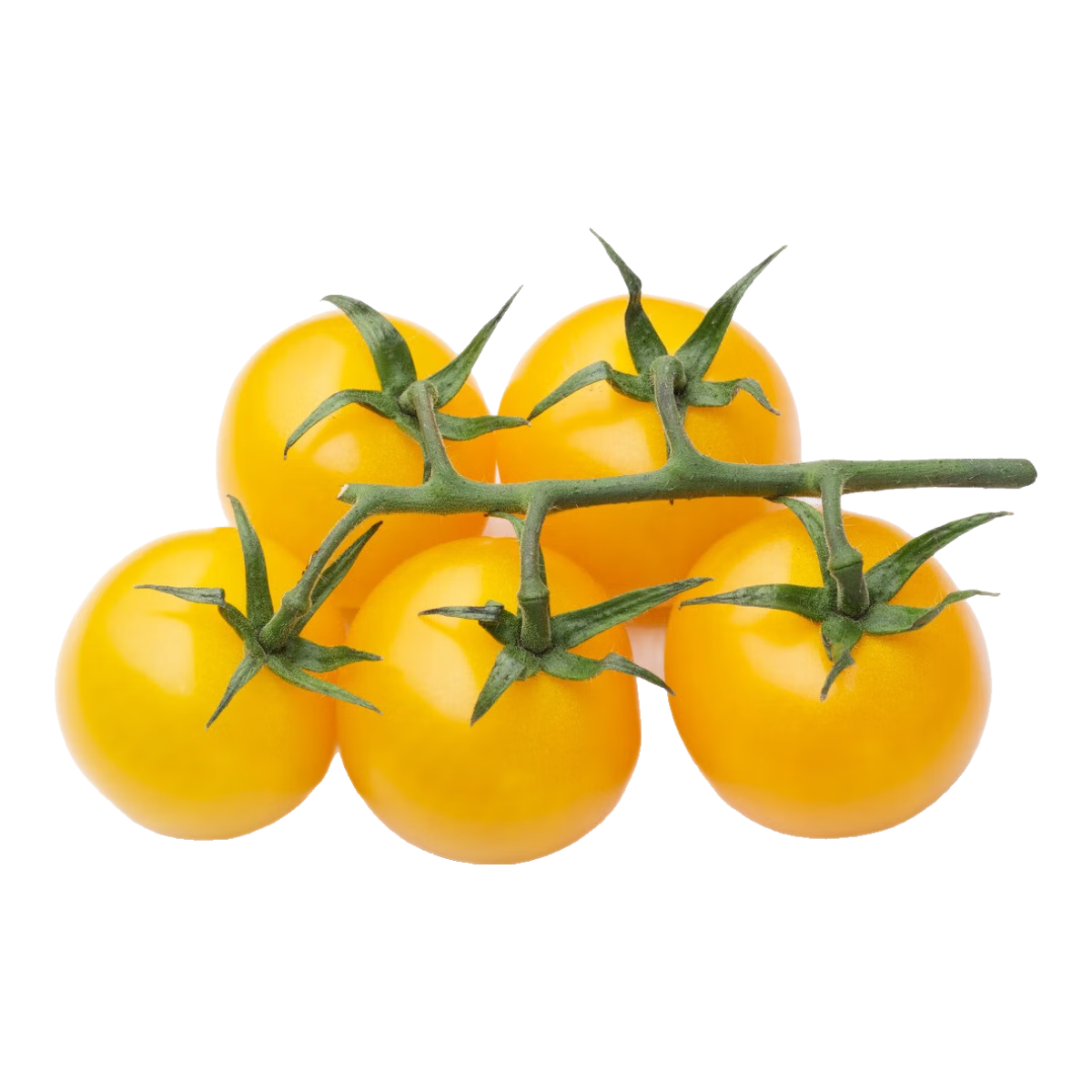 ϲСѻɫʥŮʳˮСժַ ɫʥŮһװ2Ԫ