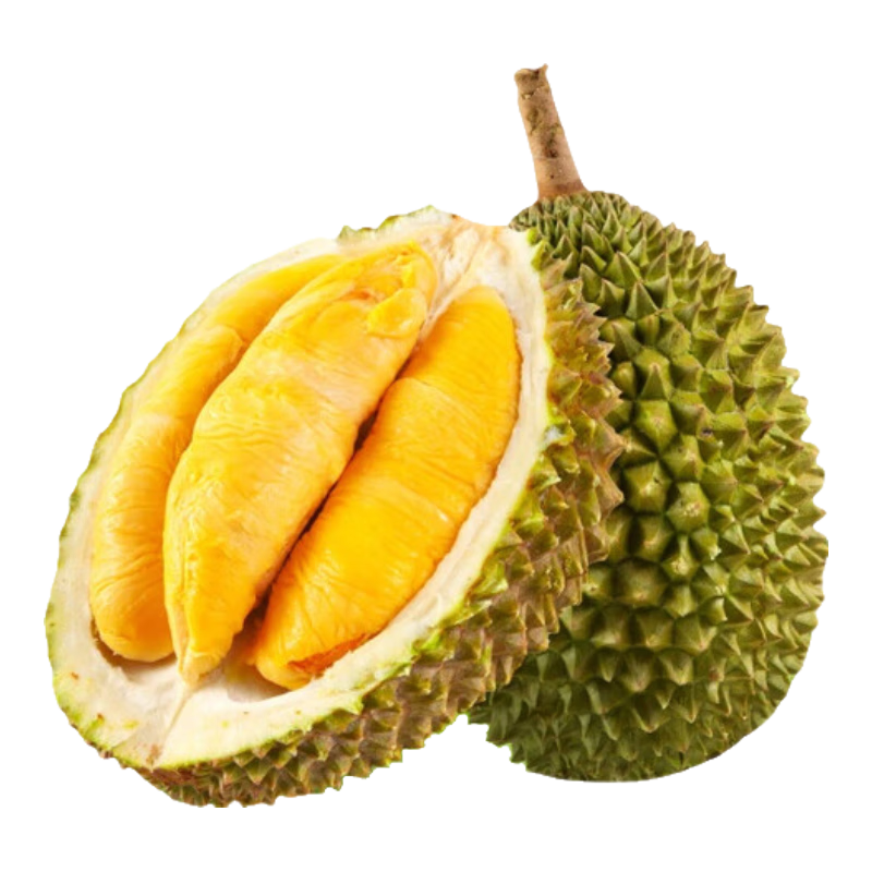 ڲСèɽD197Һ䶳ˮڽ A 3-3.5ɿ3-5 241Ԫ