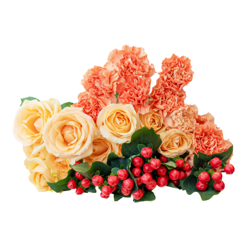 �����ʻ�õ��10֧ ����ܰ10֧ �춹5֧��3������ʻ������ɫ���ز�ֱ��