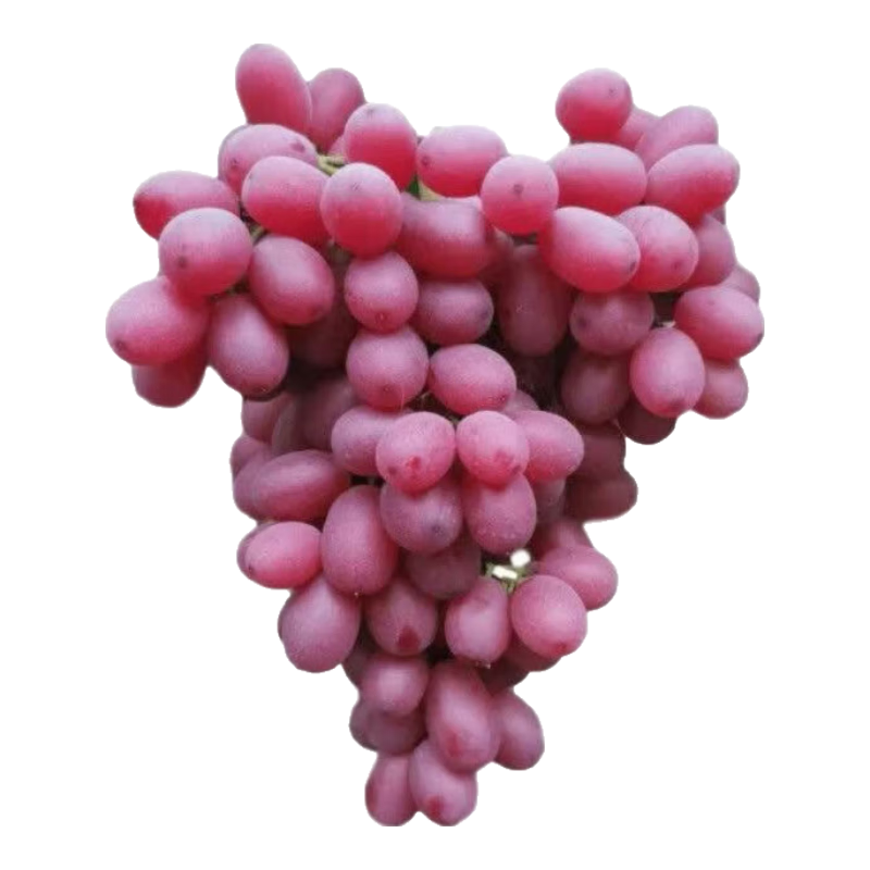 ������ ���� ��Ƥ�����֭ ����Ӧ��ˮ�� 1��װ��0.9��7.9Ԫ