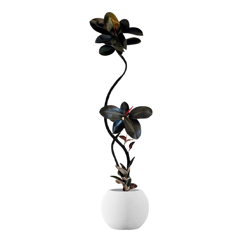 ؼƤڽմͿڴֲļֲ 콢˫Ʈ֦Ƥ1.6-1.7m+װԲ 178.8Ԫ