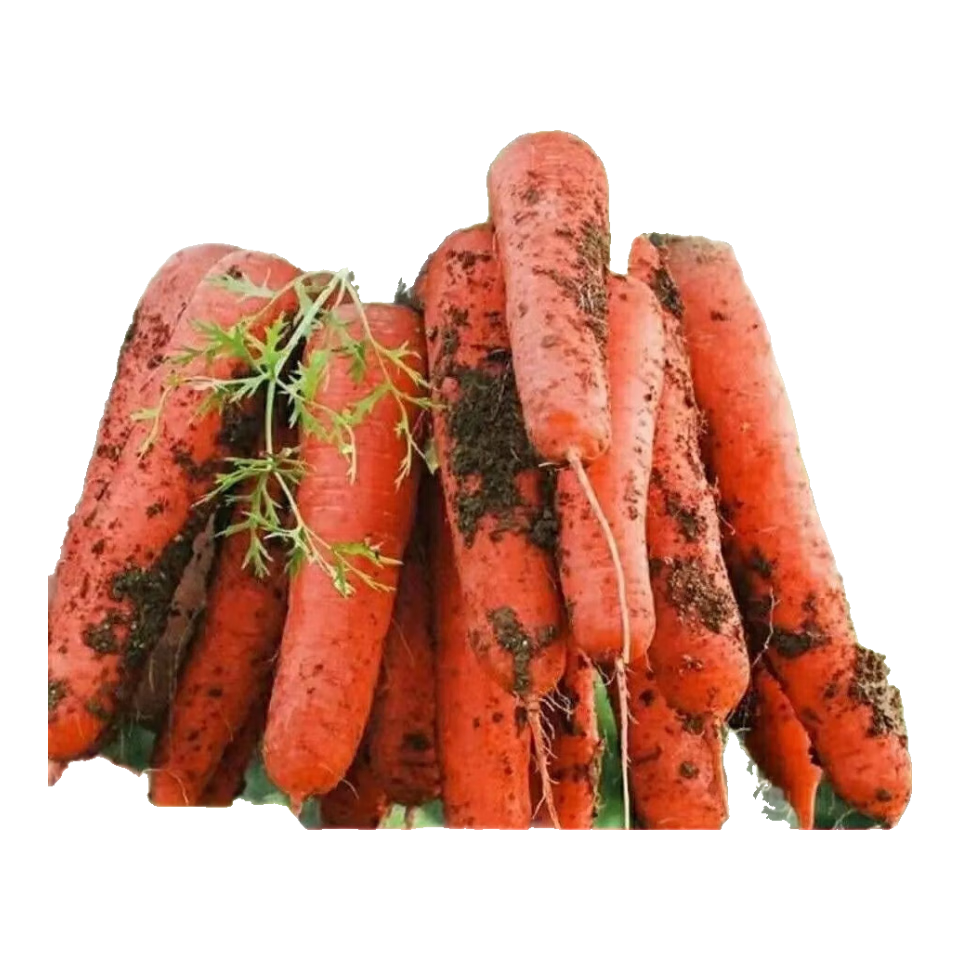 �������ܲ������������ͣ������ײͲ�������̨����ͥԺ�����ﶬ�� ���ܲ�����/��Լ300��