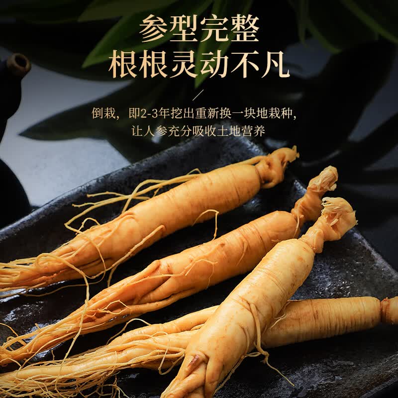 半山农人参1支试吃：倒栽工艺，首单0元享