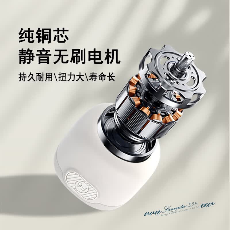 GBTW赶苍蝇风扇商用小吊扇熟食水果摊专用USB充电插电两用大范围驱赶蚊蝇神器 【插电款/单档风力】