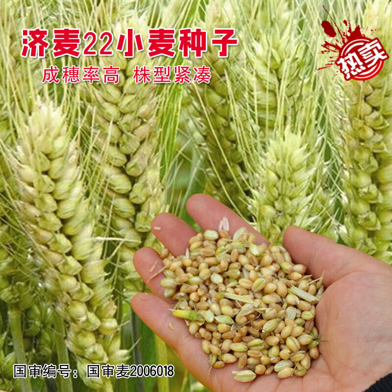 MPPMCK998СԭǿﶬСѸ߲ѿԭ 22 5װ