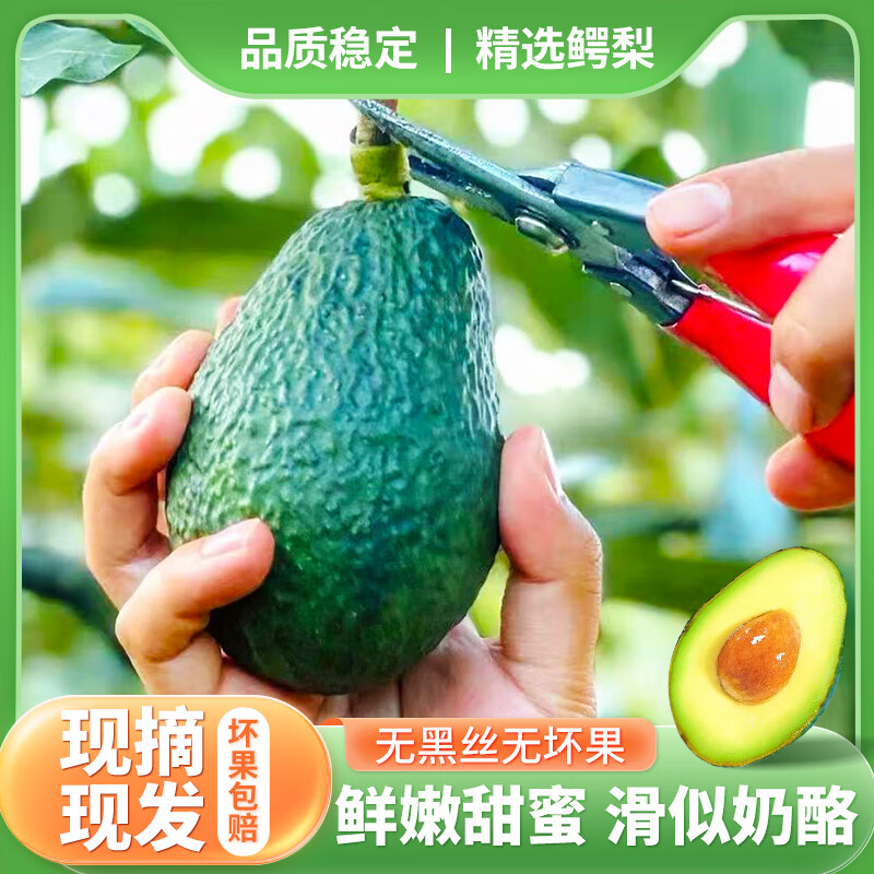 甜盟秘鲁进口牛油果鳄梨非即食宝宝营养辅食多地次日达新鲜水果当季 店长力荐 单果100-140g 6枚