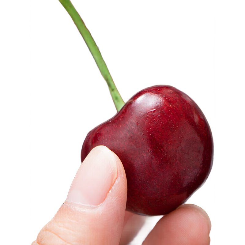 ����������������5J�� 900g���װ ����34mm+ ����ˮ�� Դͷֱ�� 149Ԫ