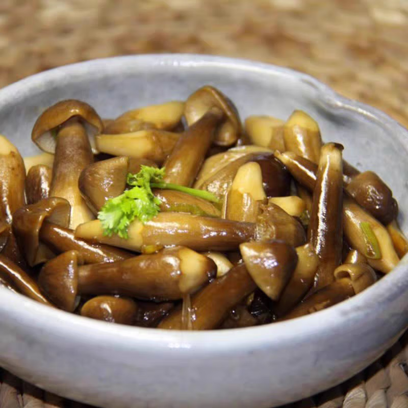 新鲜黑皮鸡枞菌【顺丰包邮】云南菌菇 鲜香脆嫩 炖汤炒菜火锅食材 500g(精选)