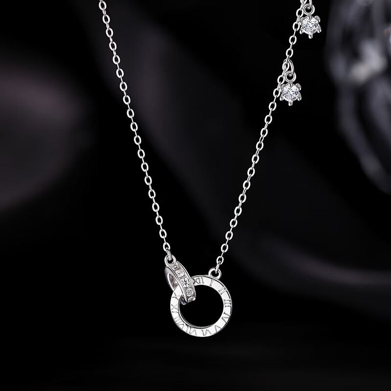 925银环环相扣项链小众锁骨链2025新女感颈链 925银双环项链 银双环项链