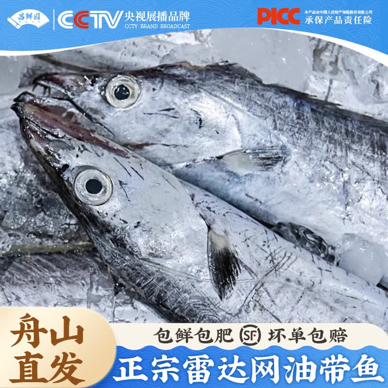 昌鲜园舟山雷达网油带鱼新鲜冷冻小眼睛带鱼整条海刀鱼海鲜特产特大带鱼 【6-8两/条】3斤装 雷达网油带