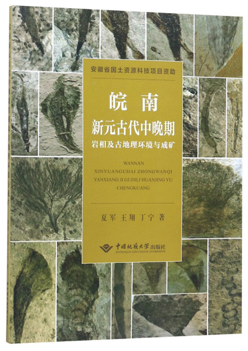 皖南新元古代中晚期岩相及古地理环境与成矿