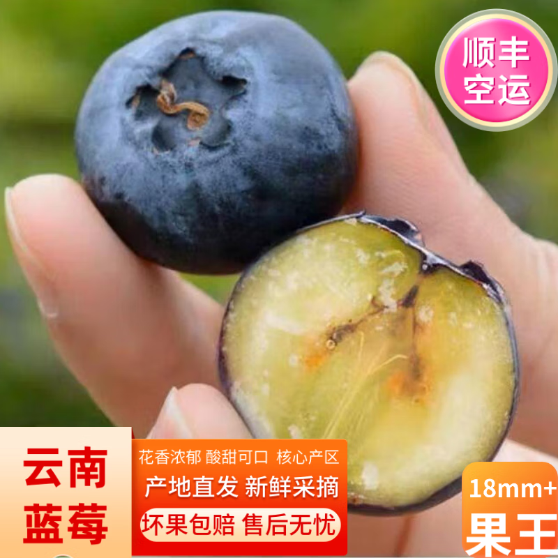 【顺丰/京东】蓝莓新鲜云南水果当季整箱花香 蓝莓15mm+ 4盒（约500g）