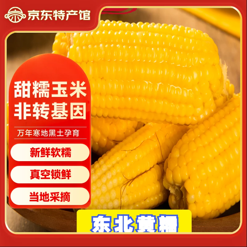 王老宝东北黄糯玉米  甜糯玉米棒 新鲜真空包装加热  即食黏玉米 东北黄糯玉米230-260克 10个