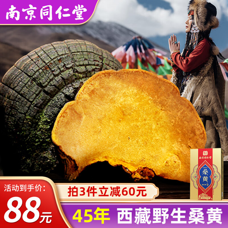 同仁堂西藏正宗45年真野生林芝波密桑树桑黄灵芝饮品整枝片菌粉中药材泡酒水养生茶长辈送礼品