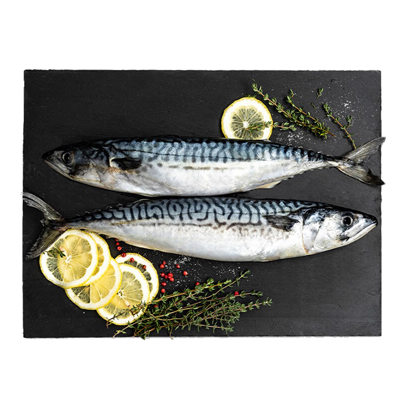 禧美海产冷冻挪威青花鱼净重2斤/袋 整鱼2-3条 鲭鱼  露营 烧烤食材