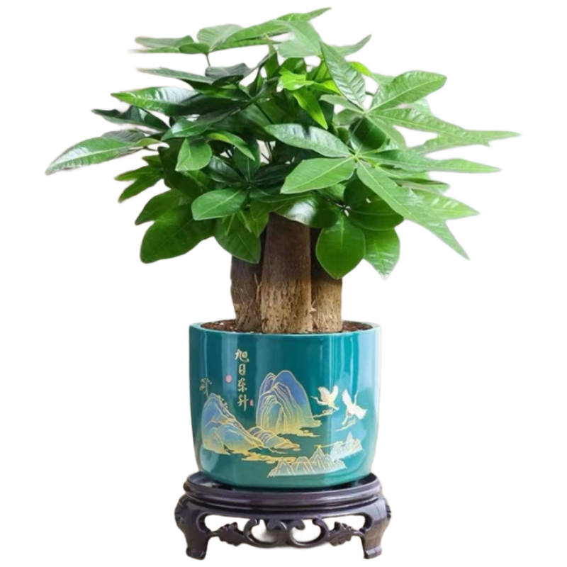 ��֮��������������ֲ A�����˷�����+���ն����մ���+Բ���� Դͷֱ��