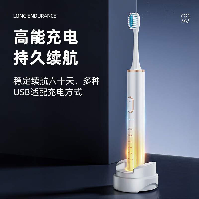 志高(CHIGO)科技下一代脉冲电动牙刷水疗刷成人声波震动清洁亮白护龈 轻巧便携款IPX7级防水高频磁悬浮波机芯 骑士黑6大模式-4支刷头-脉冲清洁 【真·超声波】送女朋友实用礼物