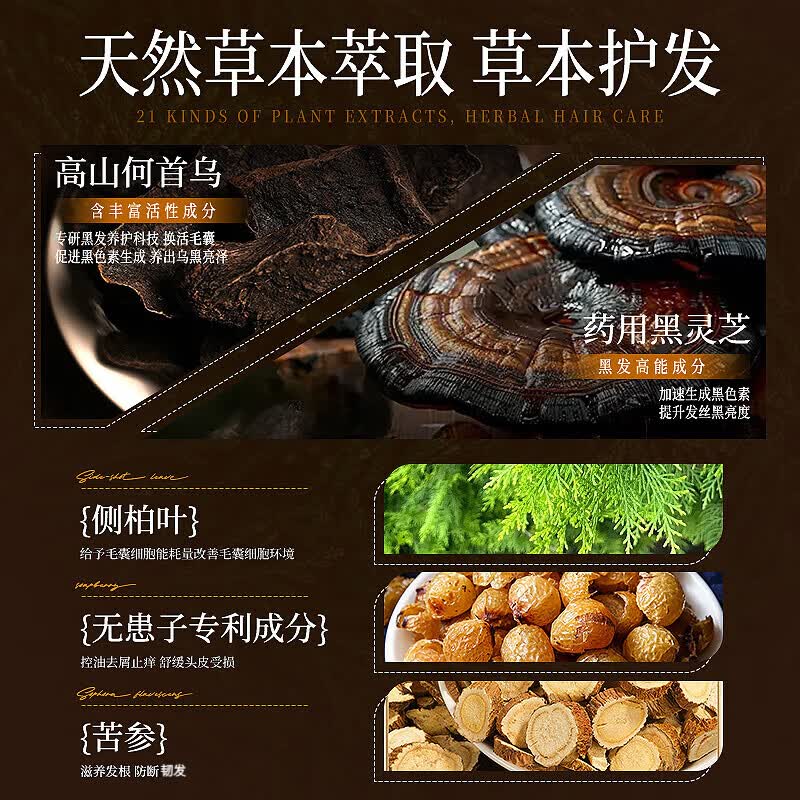 贺澧中药草本精华洗发水洗发膏去屑控油蓬松贺澧植萃养发液旅行装 植萃原浆 旅行装100ml