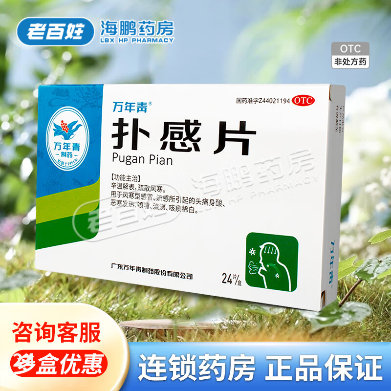 扑感片 24片 1盒装 24片/盒