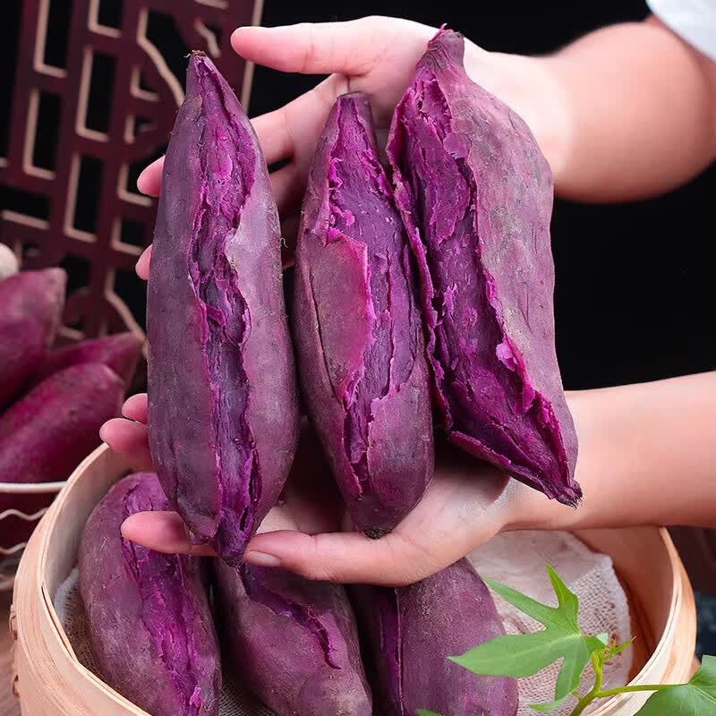 鲁禧海岸紫薯山东紫薯 现挖紫罗兰早餐粗粮新鲜蔬菜地瓜应季根茎类 S+臻选果中果4.5斤(150-400g)