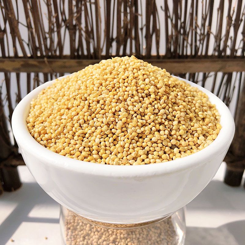 炫料鸚鵡糧/帶殼黃谷子/鳥(niǎo)糧鳥(niǎo)食飼料/虎皮牡丹玄風(fēng)橫班有殼谷子小米 2500g 普通中小粒谷子