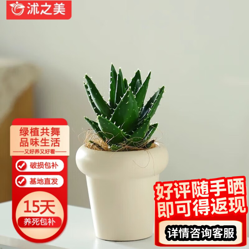 ��֮��«����ֲ���Ի���ֲ��������ֲ «��+8810����ɫ�մ��� Դͷֱ��