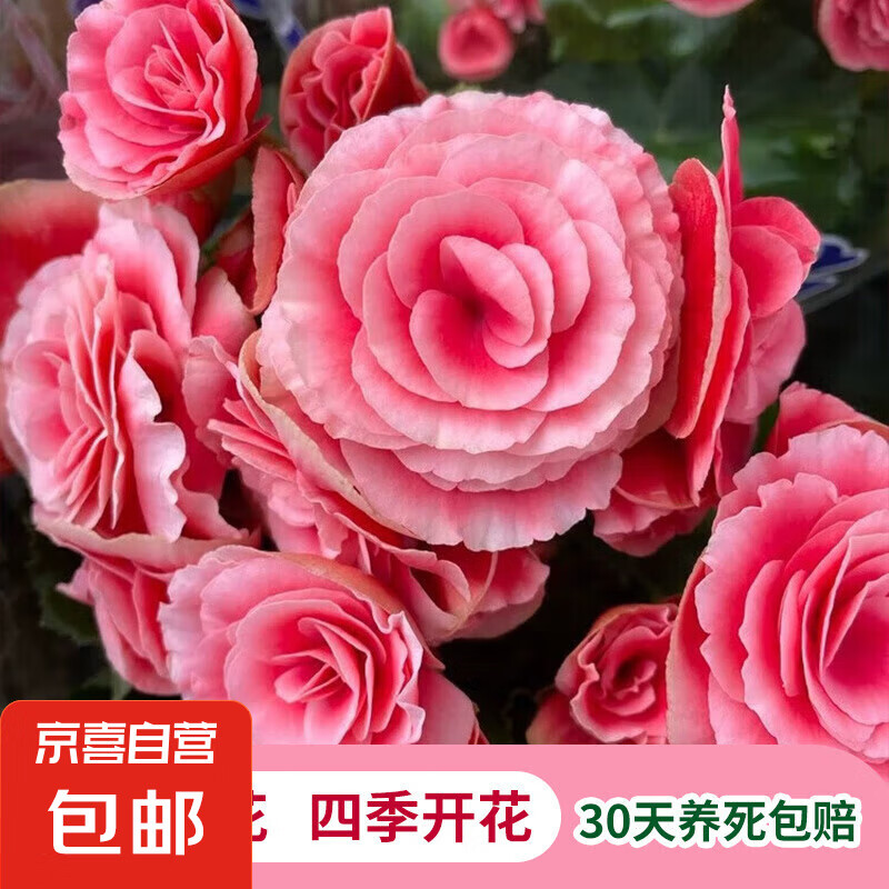 �������ذ�����Ժ�õ�����ڿ�����̨�ļ������������������� ���������衿���� �����ģ��� ������