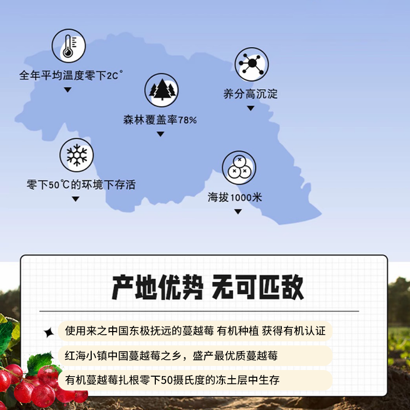 红海小镇蔓越莓原汁100%有机抚远蔓越莓鲜果鲜榨无添加 蔓越莓原汁10ml*50瓶(五盒装)