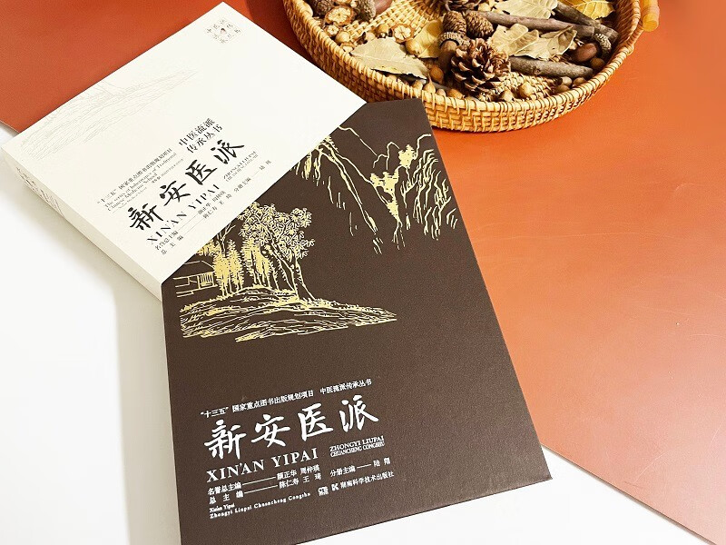 中医流派传承丛书:新安医派