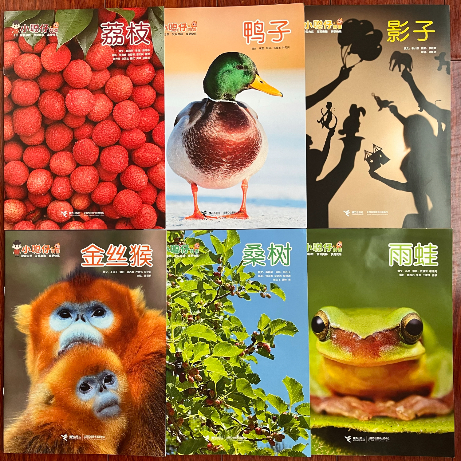 【官方直营】小聪仔2026年2025年2024年2023年2022年科普版幼儿版启蒙版合辑 1-12月份期刊杂志2-6-8岁宝宝孩子小学生启蒙认知早教亲子共读科普百科书籍预售 【科普版】2024年11