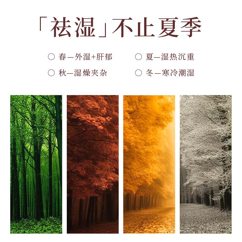 宝楼上香港五指毛桃茯苓茶祛排湿气去脂炒薏米芡实赤小豆三伏天养生健脾 【15罐装】排毒祛湿消肿健脾茶