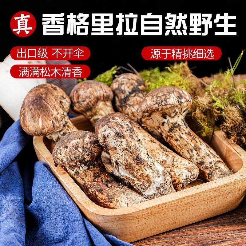 顺丰空运野生菌云南香格里拉特产新鲜松茸菌滋补佳品送礼自用 野生当天下山货1000g【超高回购】 100-140mm 京东折扣/优惠券