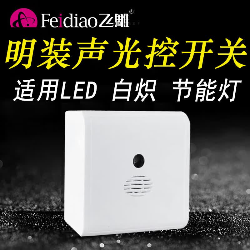 飞雕（FEIDIAO）明装二线LED声光控开关延时楼道感应自动声控灯走廊家用节能