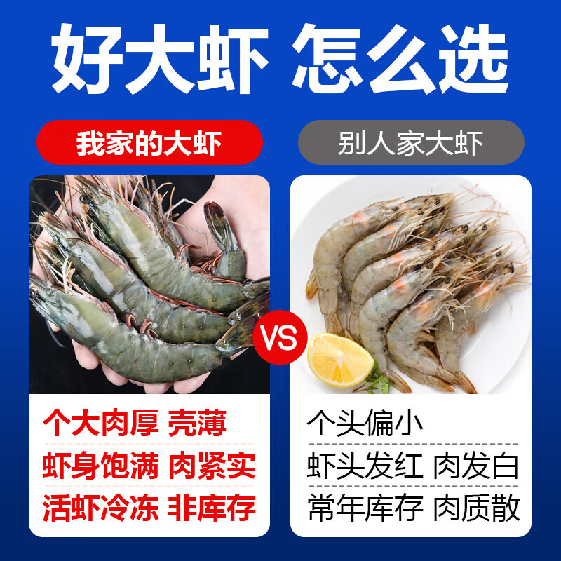 龙味福 虾南美厄瓜多尔白虾特大虾青虾海捕基围对虾冰虾冻虾海鲜水产 【大号无冰】15-18cm 3斤(净重)  【无冰】单只冻