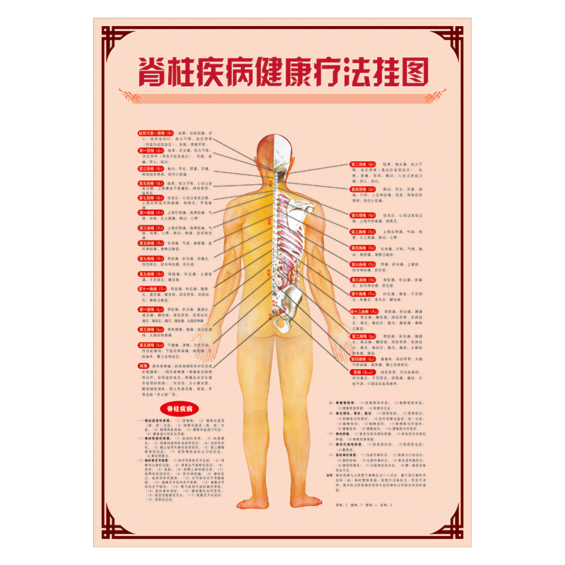 反射区挂图足疗穴位墙贴纸覆膜防水贴纸wsa57 wsa57-01 脊柱疾病健康