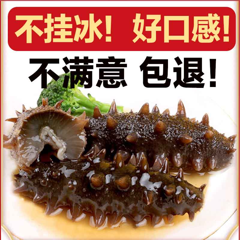 念參堂即食海參500g大連長(cháng)島鮮活刺參遼海生禮盒單個(gè)裝 500g 5-6只_1斤