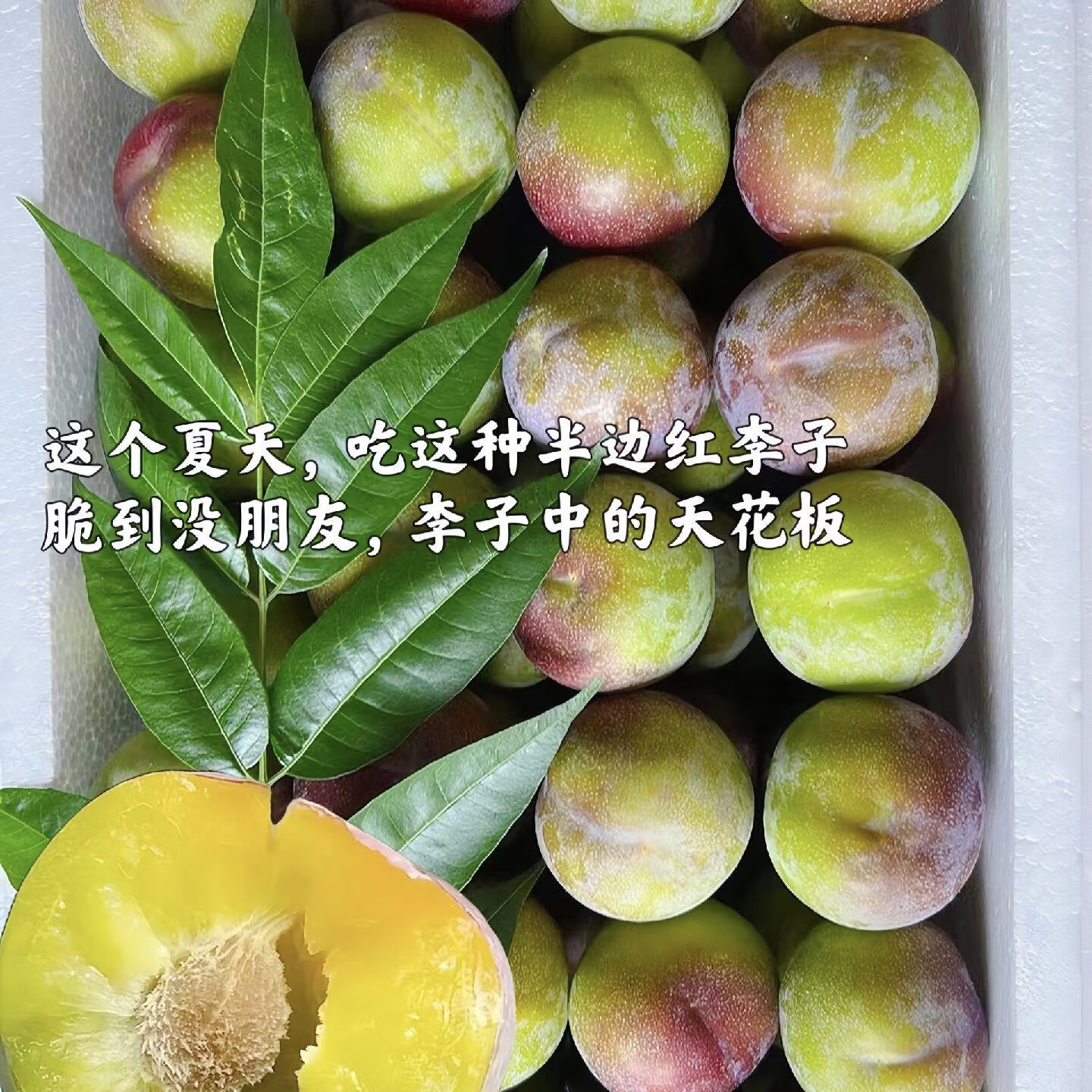 李果图片
